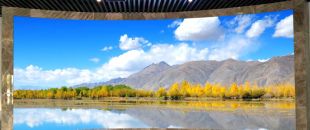 同是4K屏，為什么專業(yè)LED廣告機能比電視便宜30%？供應鏈成本大揭秘”